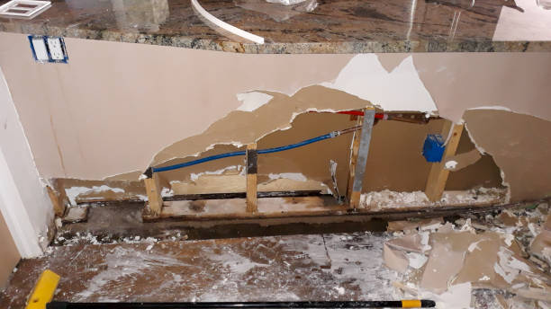 Best Fire Damage Restoration  in Moreland Hills, OH