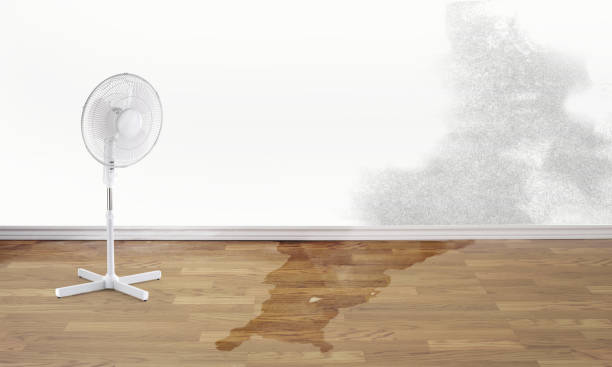 Best Water damage restoration near me  in Moreland Hills, OH