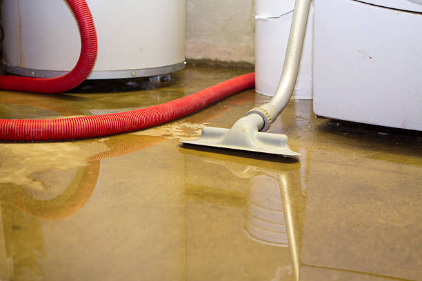 Best Professional water damage repair  in Moreland Hills, OH