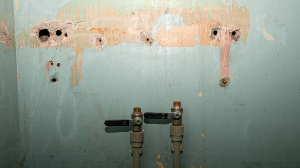 Best Water damage contractors near me  in Moreland Hills, OH